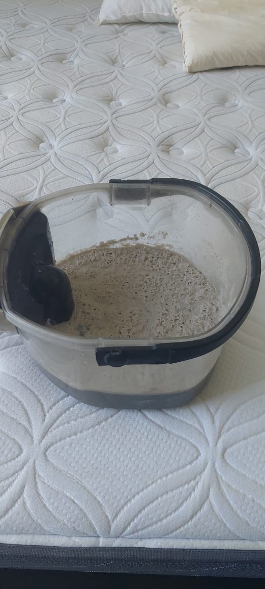 Dirty water result after mattress deep cleaning