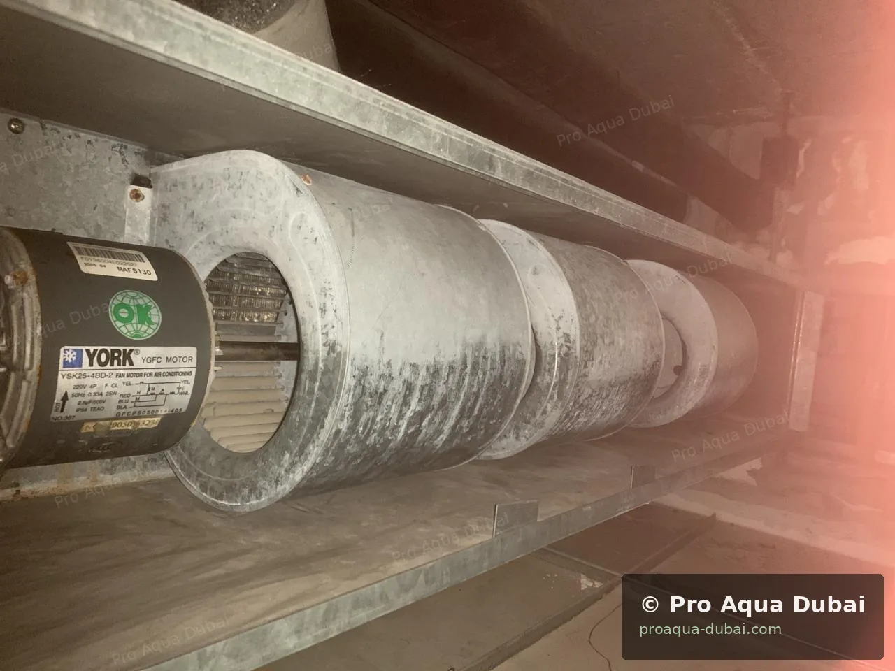 AC coil before deep cleaning
